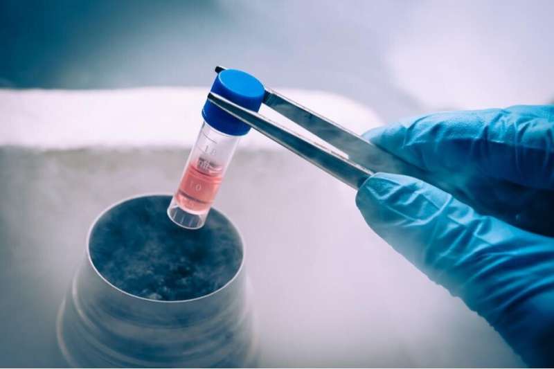 Researchers report promising results in trials to find new methods of stem cell delivery