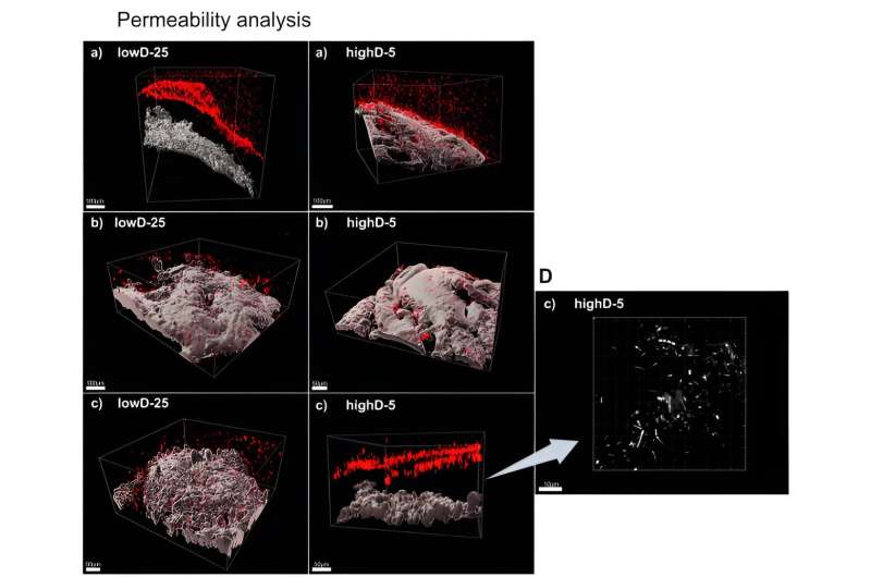 Long-term, low-grade intestinal inflammation after radiotherapy