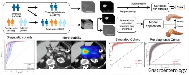 Mayo Clinic's AI innovation inspires hope in early detection of pancreatic cancer