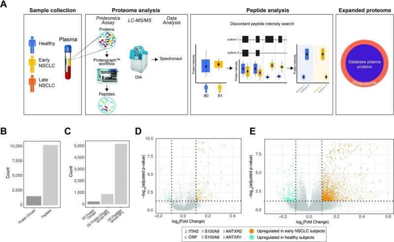 Protein isoforms could serve as novel non-small cell lung cancer biomarkers or therapeutic targets