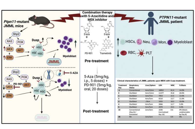 Researchers uncover new drug combination to treat rare pediatric cancer called JMML