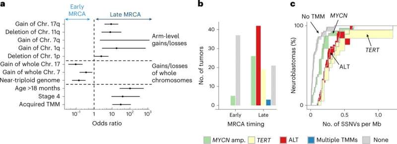 Predicting neuroblastoma outcomes with molecular evolution