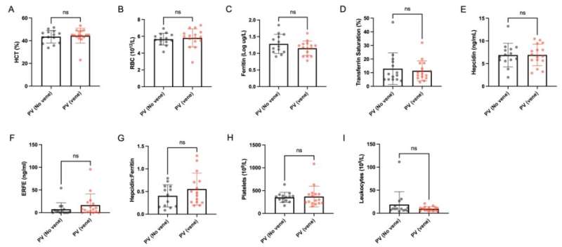 Iron regulation offers new treatment hope for incurable blood cancer