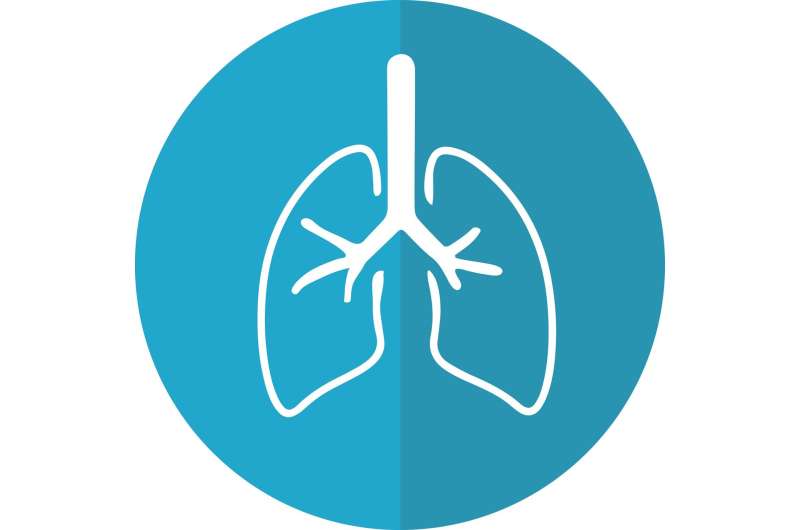 lungs