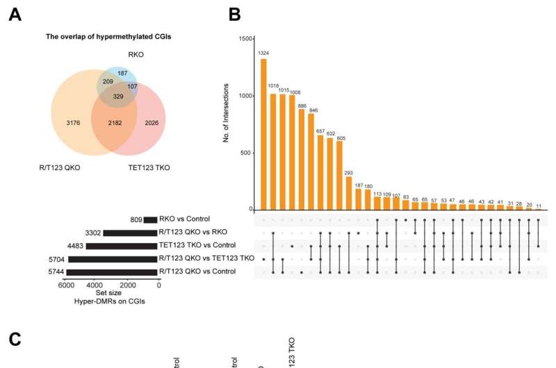 Breakdown of 'protective mechanisms' can drive lung cancer development