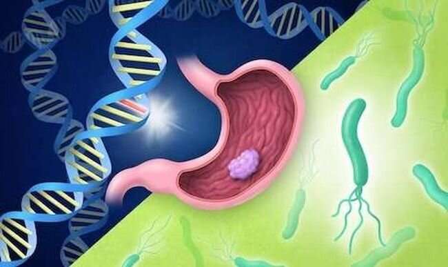 Pathogenic genetic variations boost the risk of H. pylori–related stomach cancer