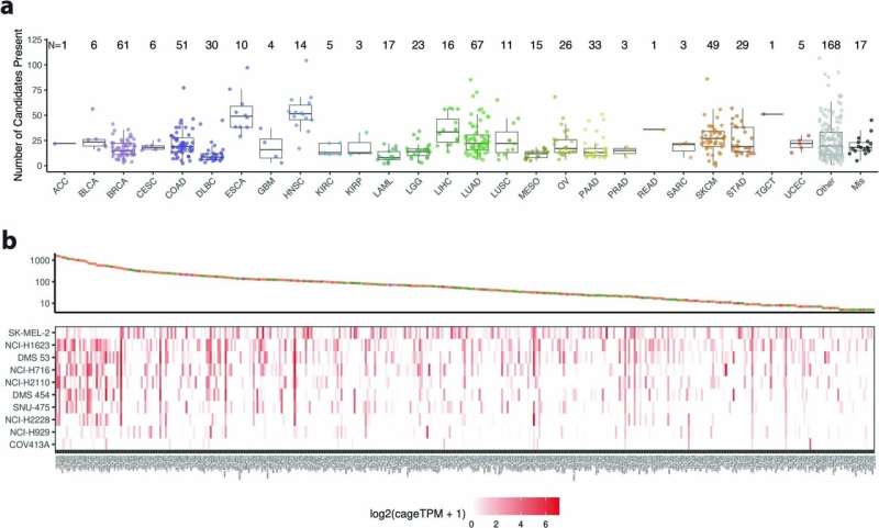 A cancer-wide analysis finds cancer-wide targets for tumor reduction