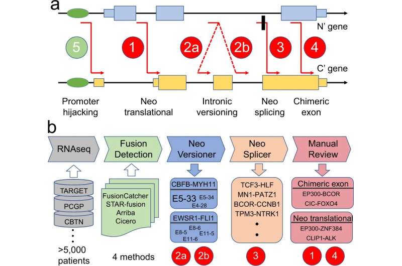 Tool targets cancer-causing fusions' weak spot