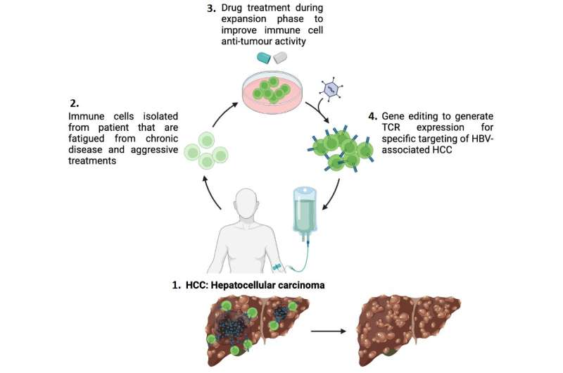 New discovery in t-cell research could lead to improved treatment of solid tumors