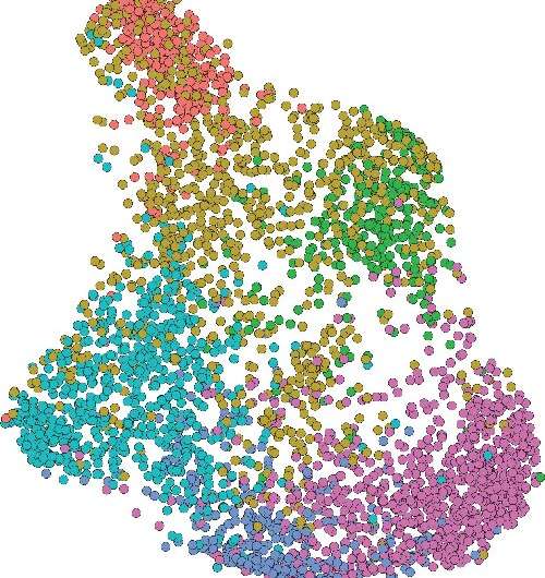 How cancer evades immune system detection and spreads