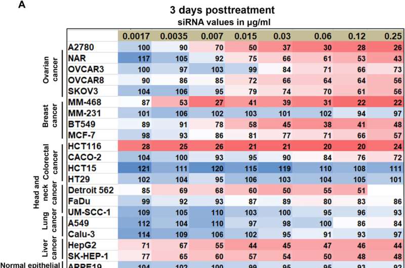 Cancer therapy - gene silencing of cytoskeleton-associated protein 5 in genetically unstable cancer cells