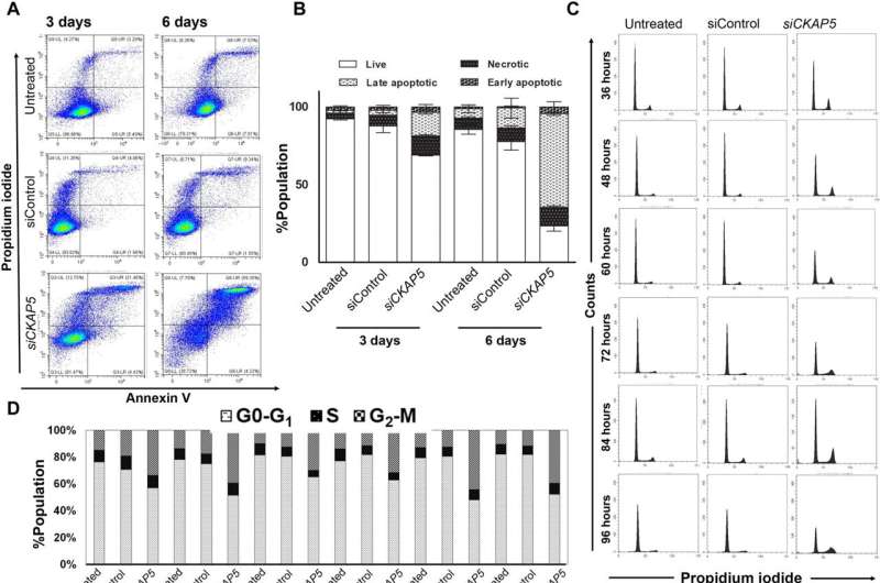 Cancer therapy - gene silencing of cytoskeleton-associated protein 5 in genetically unstable cancer cells