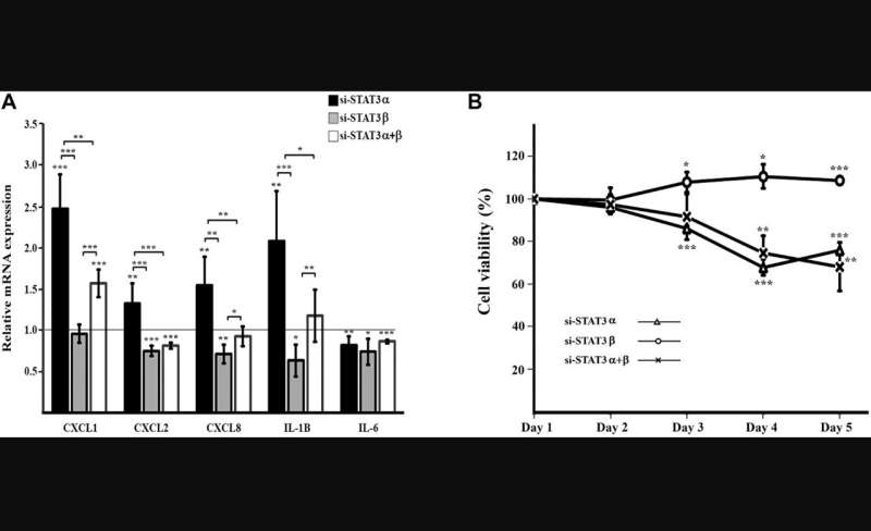 Differential silencing of STAT3 isoforms leads to changes in STAT3 activation