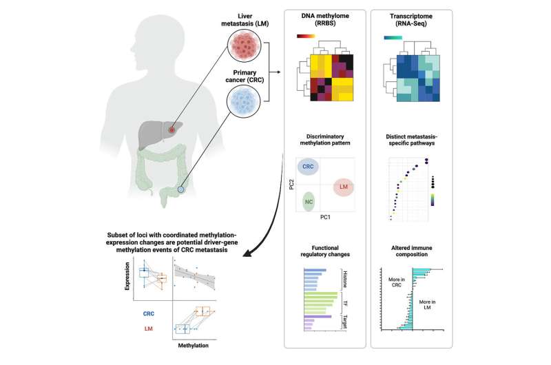 DNA discovery may assist in fight against aggressive cancer