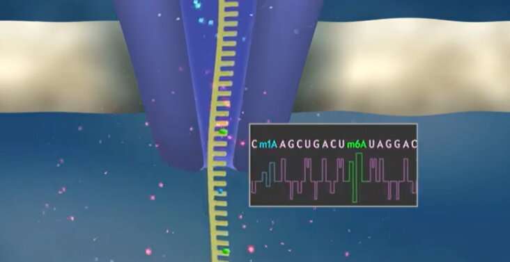 tRNA biomarkers for cancer diagnosis and prognosis enabled by new method