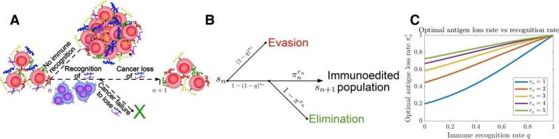 Cancer cells may sense immune surveillance and actively adapt