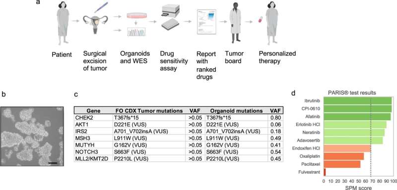 Exploring the potential of the PARIS Test to find unexpected therapeutic options for treating cancer