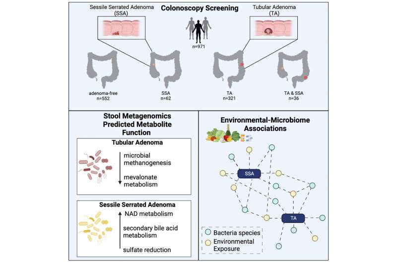 Gut microbiome changes linked to precancerous colon polyps