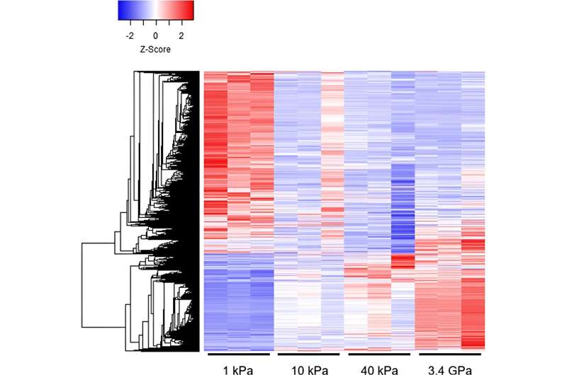 New insight into the crosstalk between cancer cells and their environment