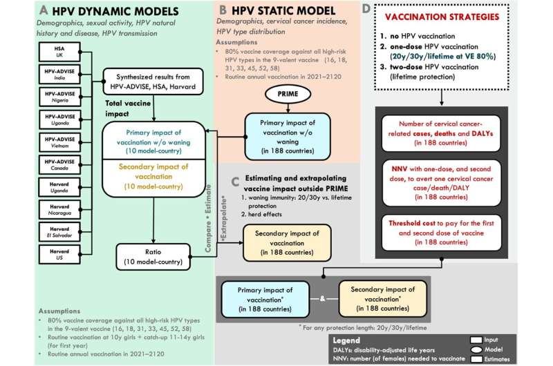 Single-dose HPV vaccine effective in preventing cervical cancer globally