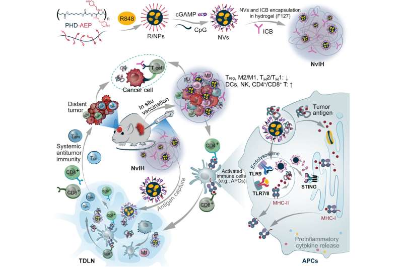 Single-dose injectable nanovaccine-in-hydrogel for robust immunotherapy