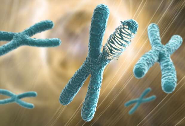 Chromothripsis in human cancer