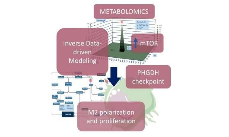 Targeting the cancer microenvironment