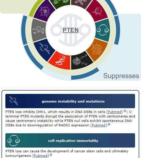 Cancer Gene Census paves the way for improvements in personalised medicine