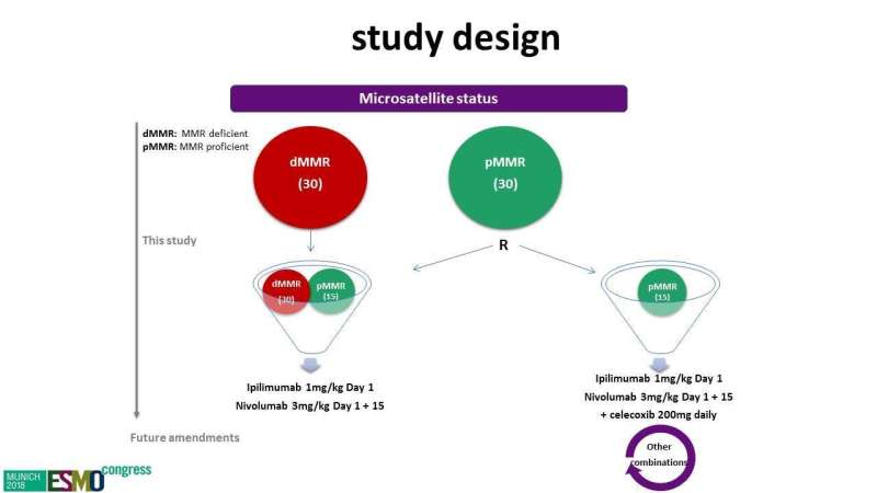 Major response to immunotherapy in early-stage mismatch repair deficient colon cancer