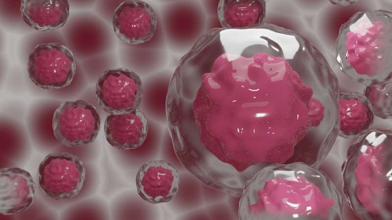 Cancer cells adopt hitherto unknown state to facilitate metastasis 