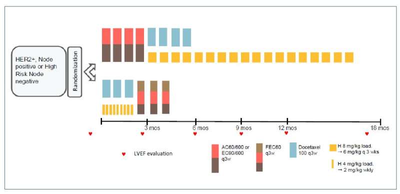 HER2+ early breast cancers where shorter-course trastuzumab could be an option