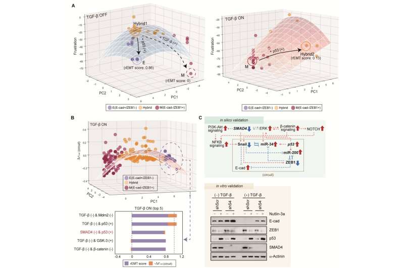 KAIST presents a fundamental technology to remove metastatic traits from lung cancer cells