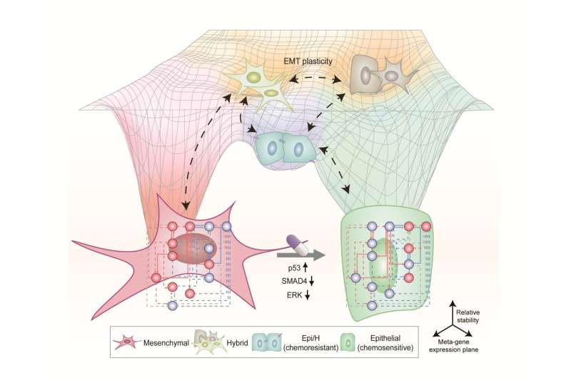 KAIST presents a fundamental technology to remove metastatic traits from lung cancer cells