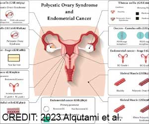 Estrogen Receptor Mutation Prospects in Endometrial Cancer Treatment