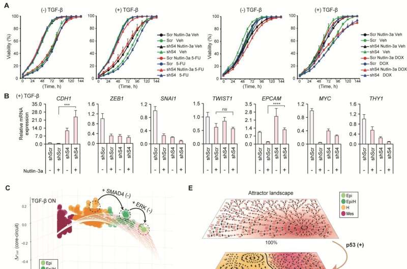 KAIST presents a fundamental technology to remove metastatic traits from lung cancer cells