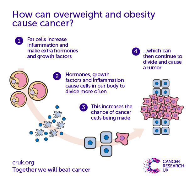 How does obesity cause cancer?