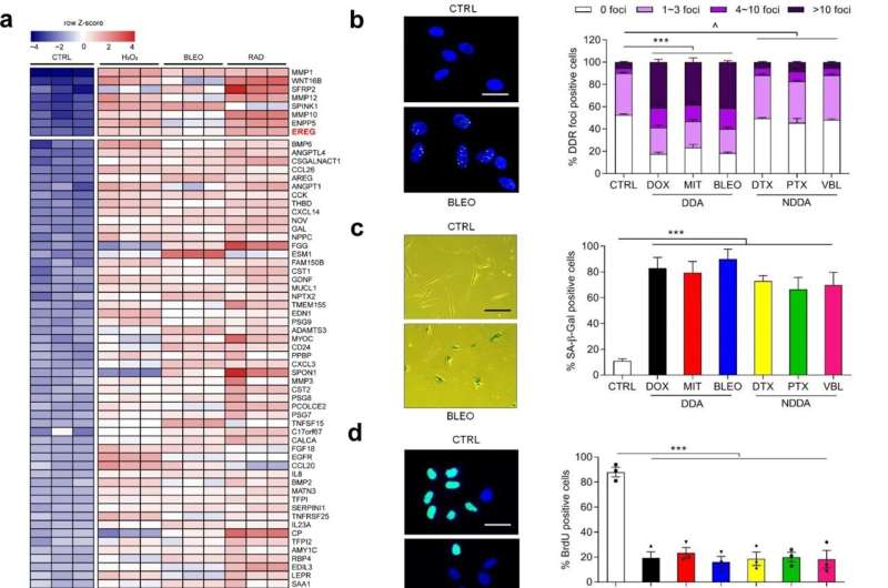 Targeting epiregulin in treatment-damaged tumor microenvironment restrains therapeutic resistance 