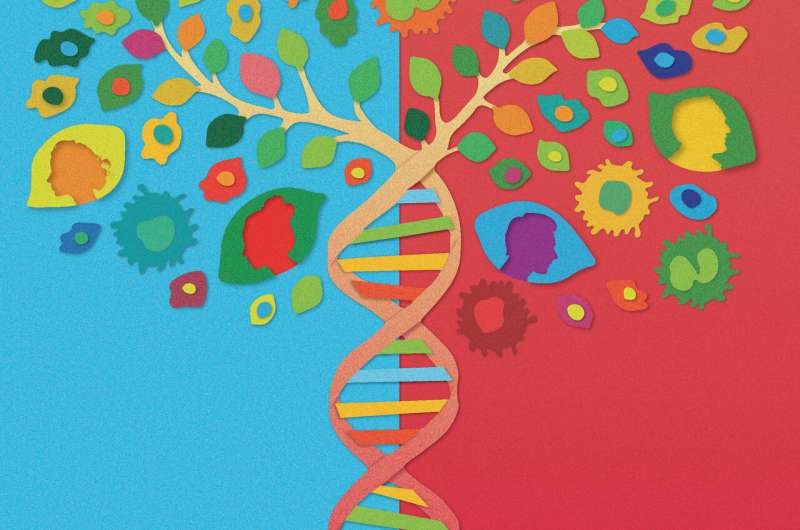 Multimodal genomic analyses predict response to immunotherapy in lung cancer patients