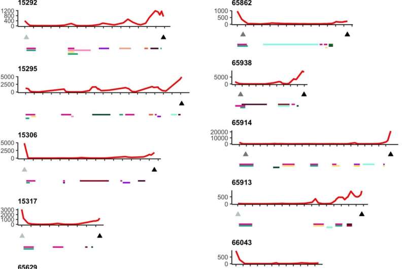 Multisite multiomic analysis reveals diverse resistance mechanisms in end-stage ovarian cancer