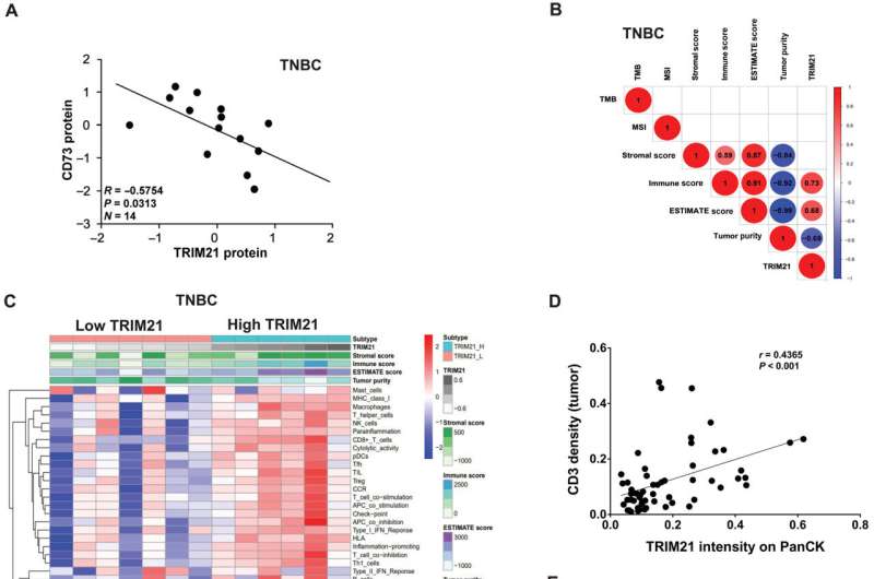 Novel therapeutic targets discovered for triple-negative breast cancer 