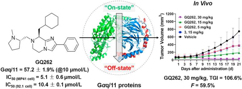 Discovery of small molecule Gαq/11 protein inhibitors against uveal melanoma 