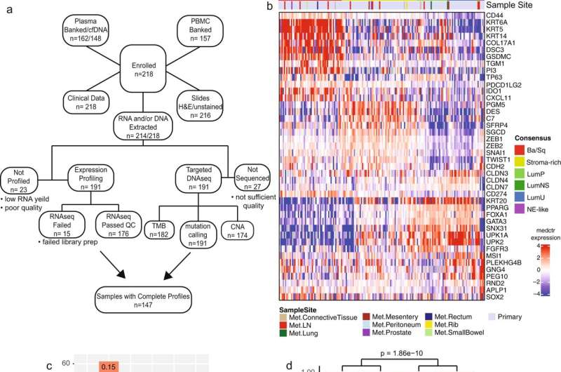 Genetic analysis of the most common type of bladder cancer in patients with metastatic disease yields guidance on treatment opti