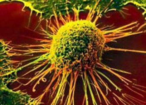 First-in-human trial for new lung cancer immunotherapy