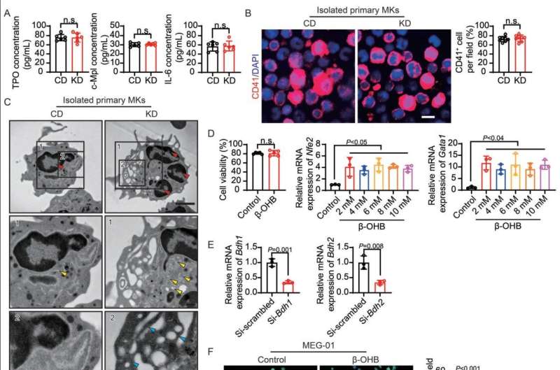 High fat ketogenic diet envisioned as potential life-saving therapy to combat low platelets in cancer patients 