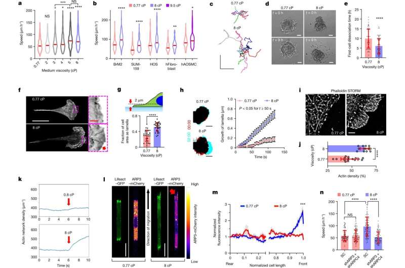 New clue discovered for how and why cancer cells spread