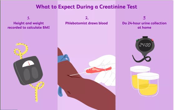 What Are Creatinine Tests?