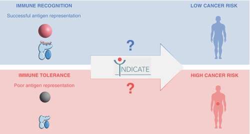 Collaborative initiative to unravel the role of HLA in individuals with a genetic cancer predisposition 