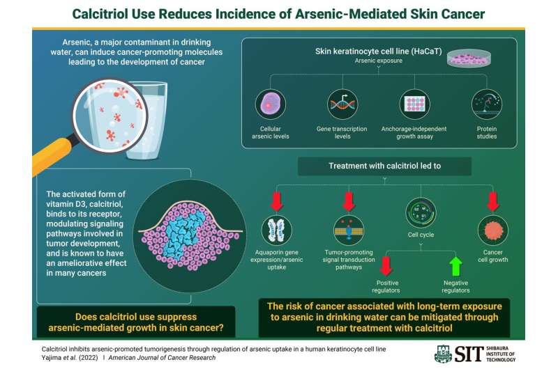 Activated vitamin D3 treatment may reduce the risk of arsenic-mediated skin cancer 