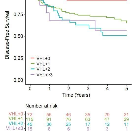 DNA mutations in tumors reveal kidney cancer's risk of recurrence