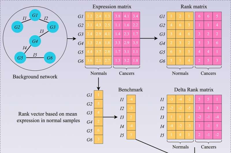 Gene interactions classify bowel tumors for personalized medicine